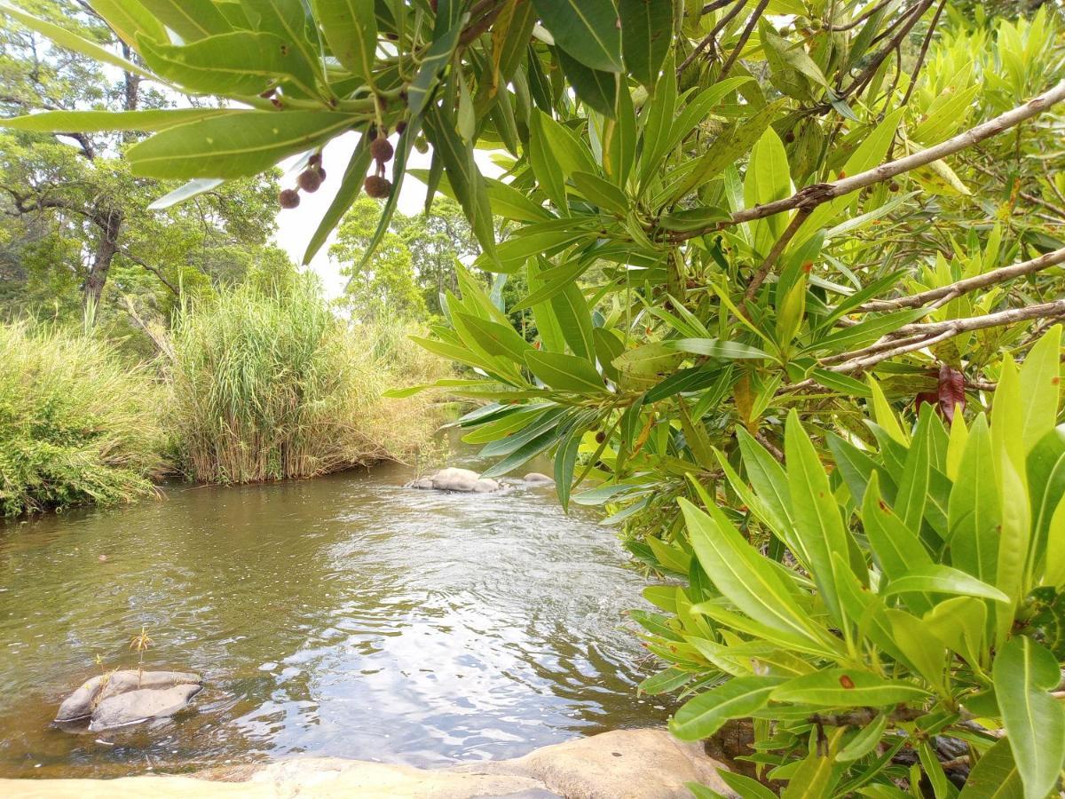Blyde River Cabins Hoedspruit Ngoại thất bức ảnh